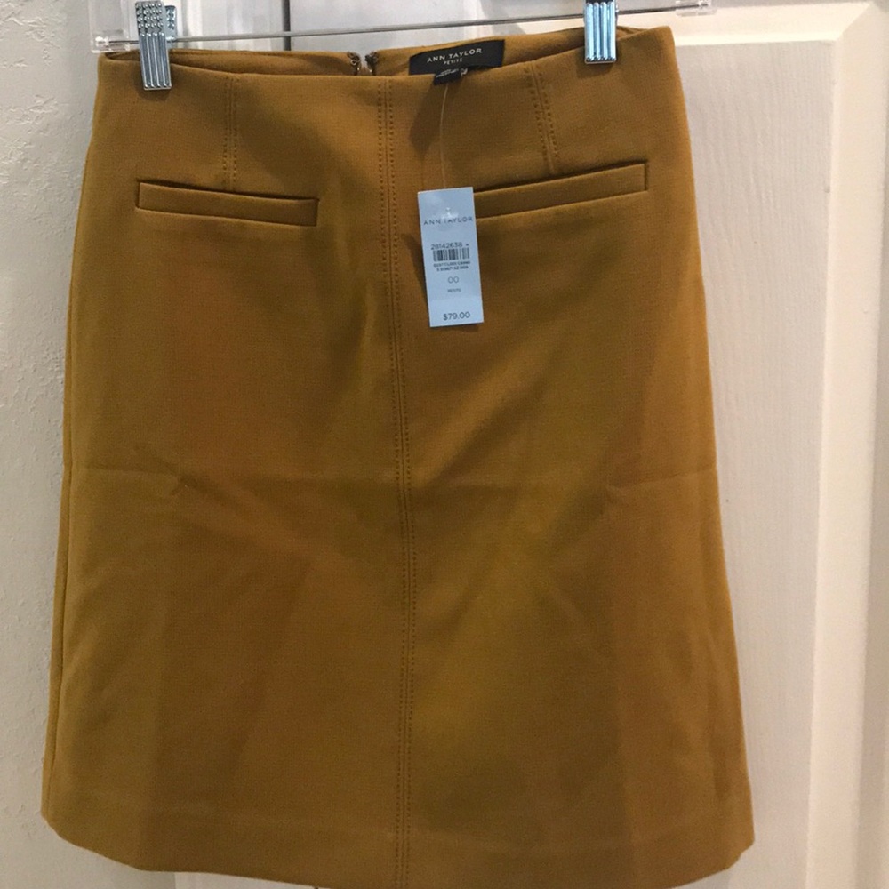 Ann Taylor skirt